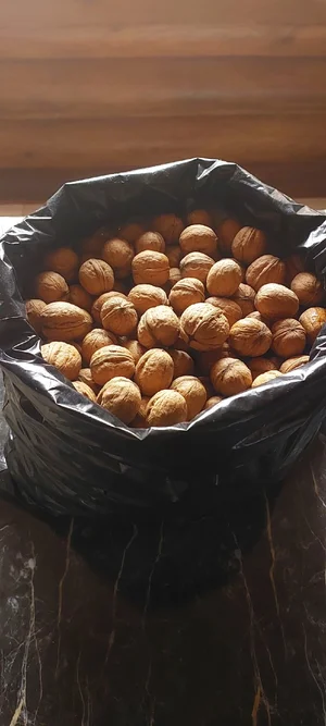 Грецкий орех