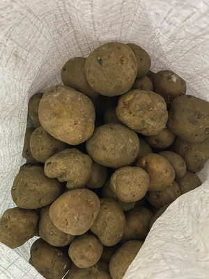 Картофель