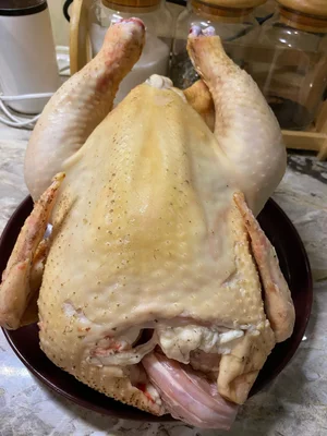 Курица
