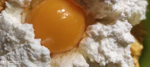 Яйца куриные