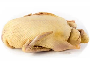 Курица бройлер