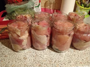 Курочки молодые