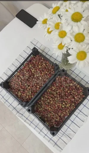 Земляника луговая
