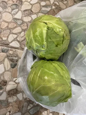 Огурчики