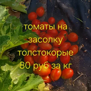 Томаты Черри