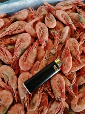 Форель охлажденная непотрошёная