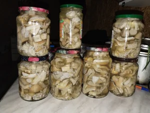 Маслята маринованные