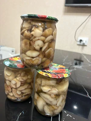 Маринованные маслята
