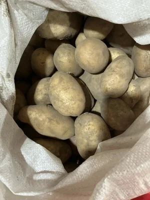 Картофель Коломбо
