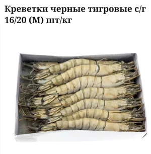 Форель охлажденная потрошеная