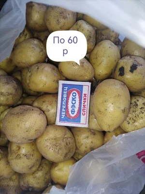 Кабачки маленькие