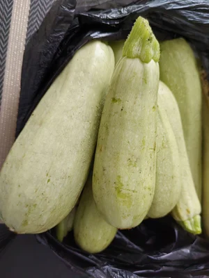 Кабачки