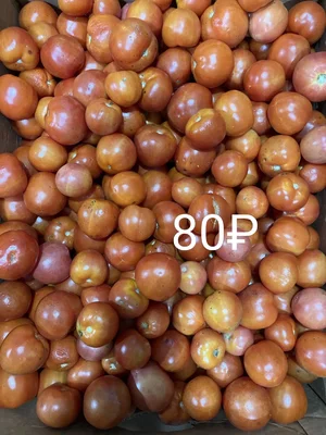 Огурцы