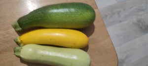 Огурцы