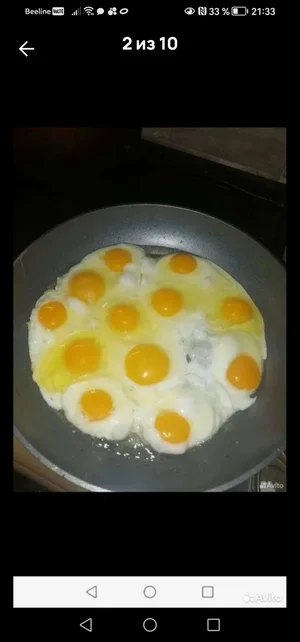 Яйцо