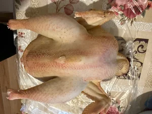 Петух