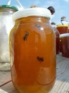 Мёд разнотравье