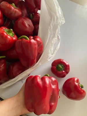 Перец болгарский красный