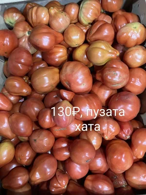 Огурцы
