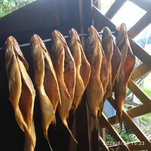 Рыба (жерех) холодного копчения