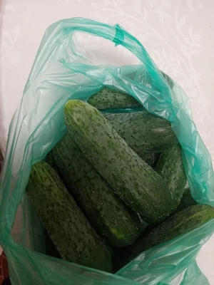 Домашние огурчики мелкие
