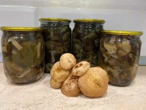 Маринованные грибы