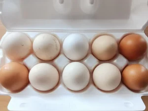 Домашние яйца