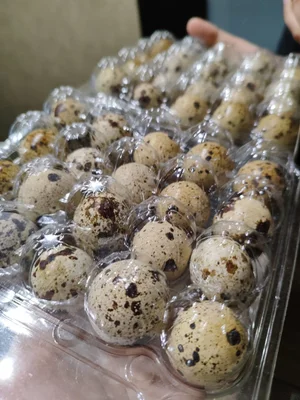 ПЕРЕПЕЛИНОЕ МЯСО