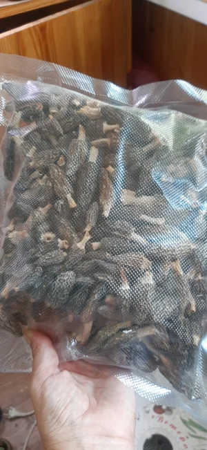 Маринованные маслята