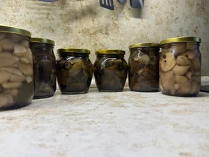 Опята маринованные