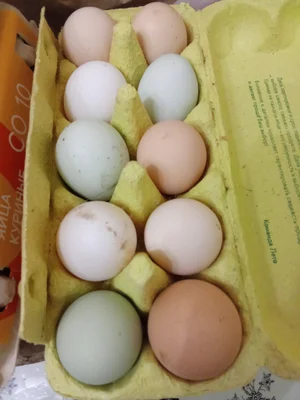 Суповые петушки