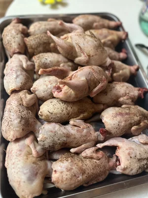 Перепелки свежие