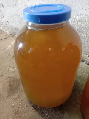 Картошка