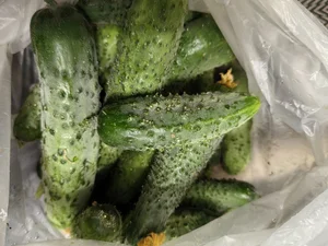 Кабачки