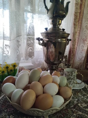 Петушки суповые