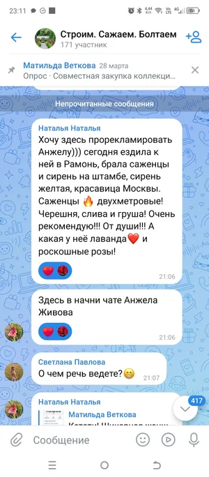 Картофель домашний Пикассо и домарис