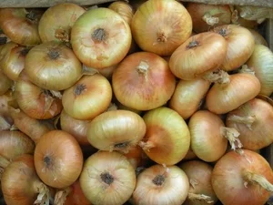 Картофель