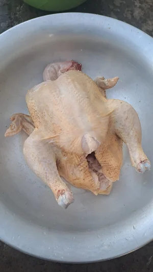 Курица