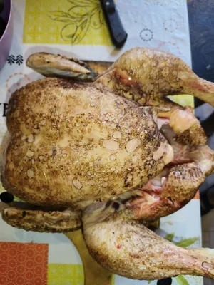 Курица