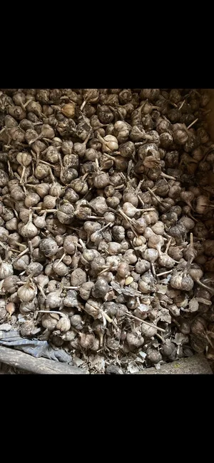 Картофель