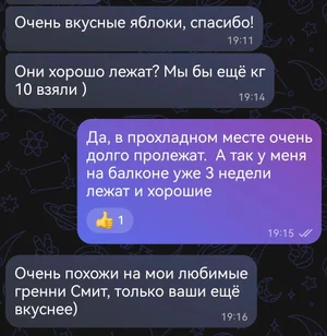 Яблоки