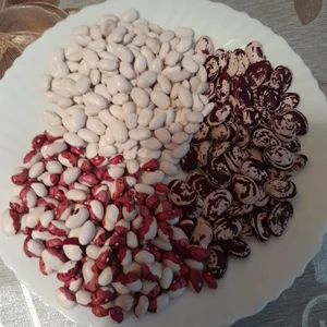 Картофель