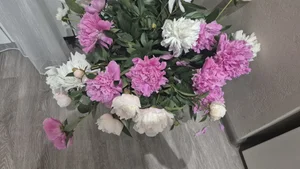 Пионы