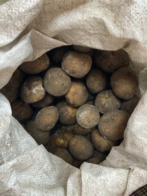 Картошка деревенская
