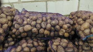 Картофель