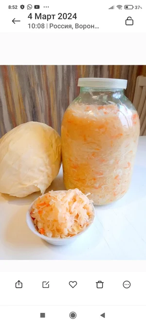 Пирожки с мясом