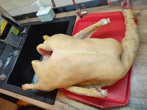 Гуси