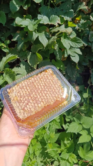 Рамка сотового меда