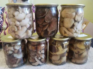 Грибы маринованные