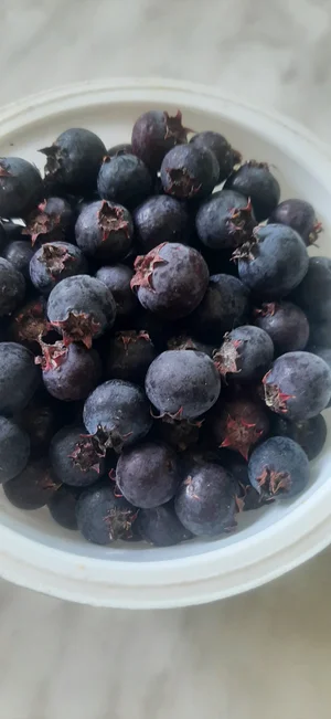 Замороженные ягоды дикие, садовые